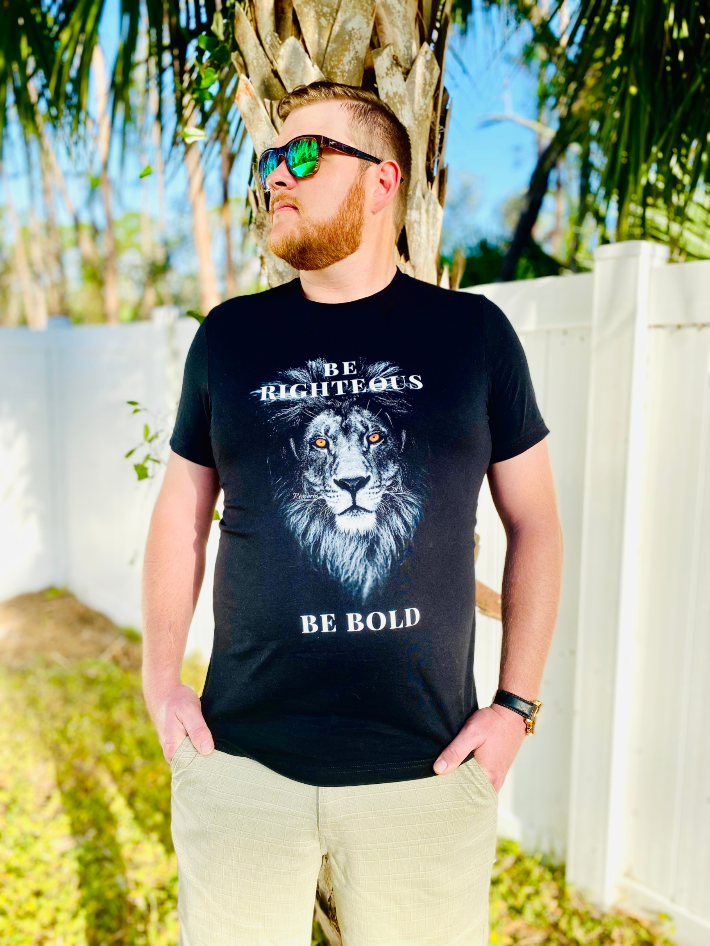 Men's Bold Lion Tee