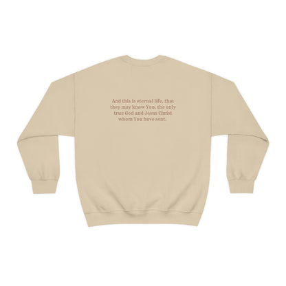 Jesus Christ is Eternal life Sweatshirt